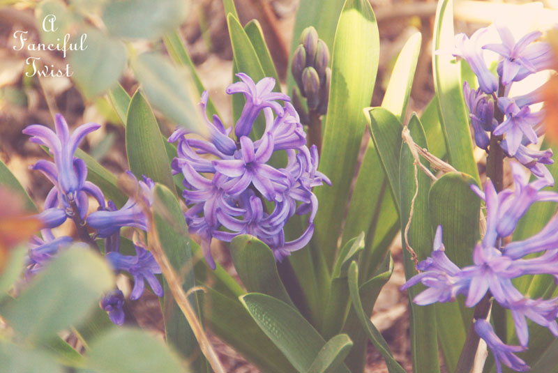 Spring things 17 Spring things 17