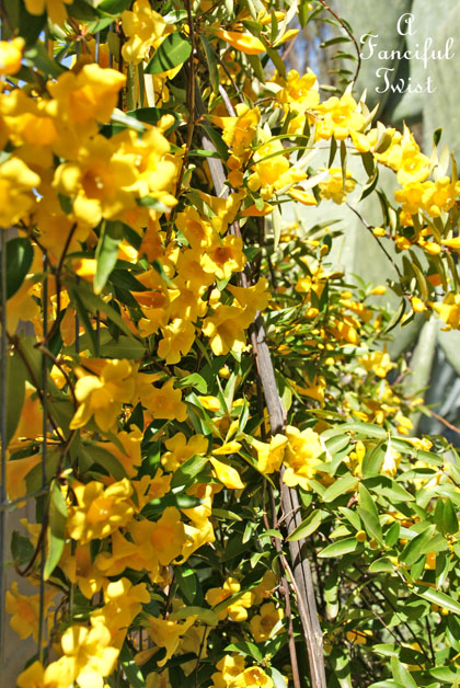 Blossoms 15 Blossoms 15