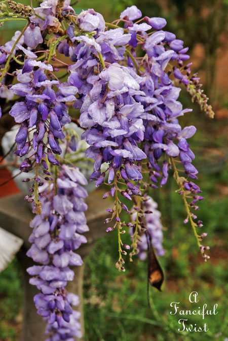 Spring 2 Spring 2