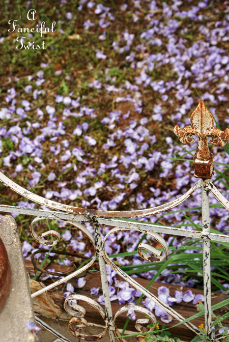Spring 5 Spring 5