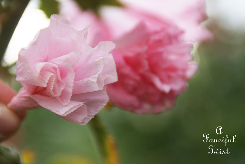 Paper flowers 3 Paper flowers 3