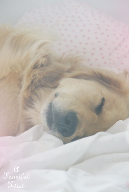 Paper flowers 14 Paper flowers 14