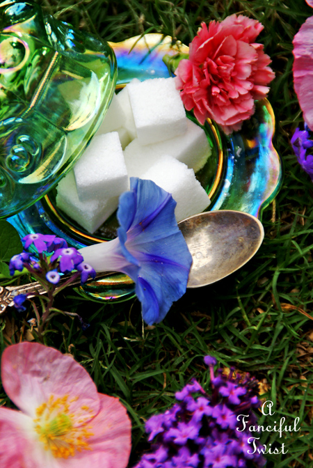 Mad tea planning 9 Mad tea planning 9