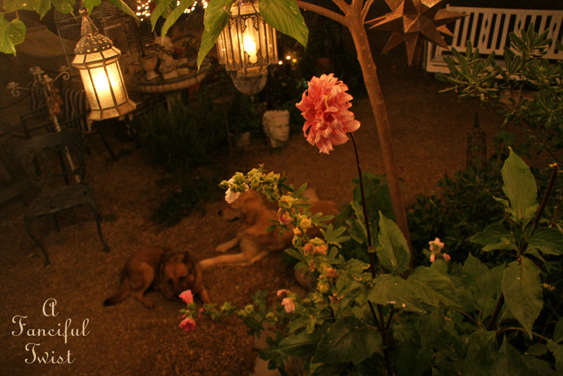 Summer magic 4 Summer magic 4