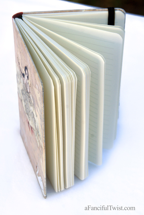 The girl and the swan journal 3 The girl and the swan journal 3