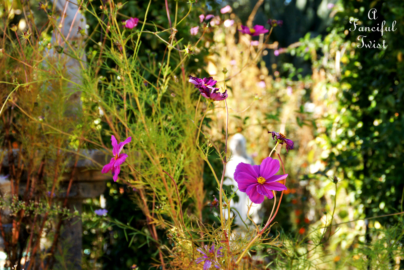 Ballerinas and days 8 Ballerinas and days 8
