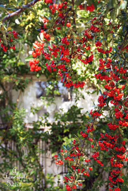 Ballerinas and days 3 Ballerinas and days 3