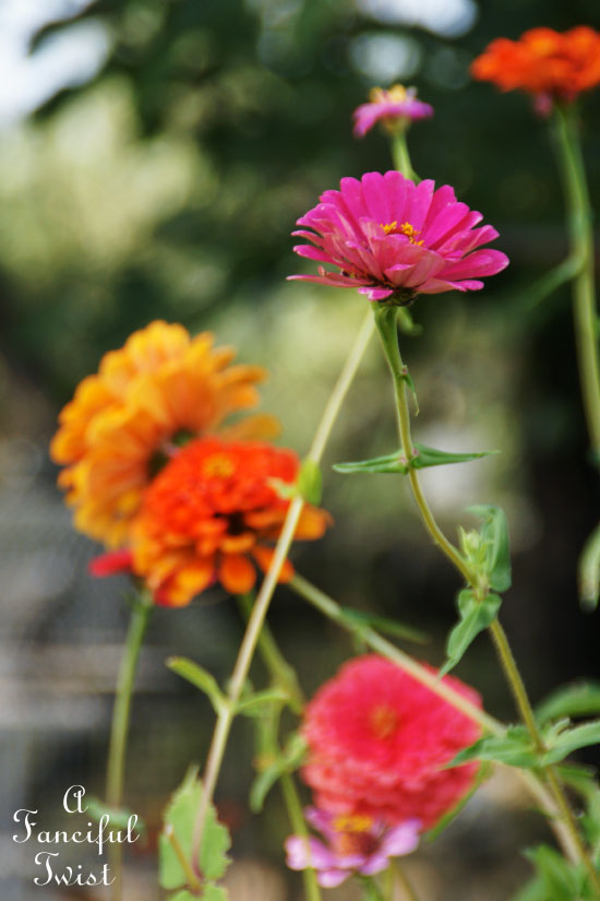 Welcome november 1 Welcome november 1