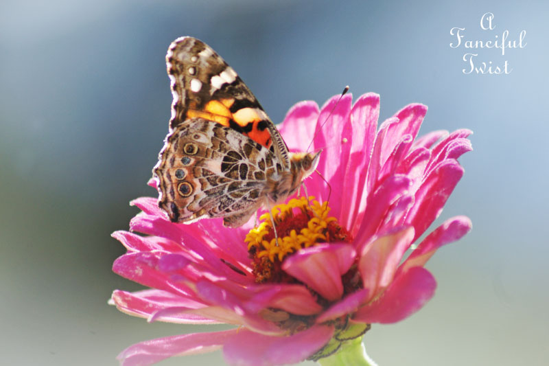 Welcome november 3 Welcome november 3