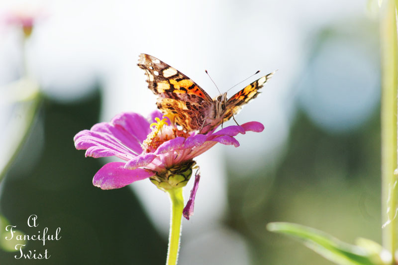 Welcome november 4 Welcome november 4