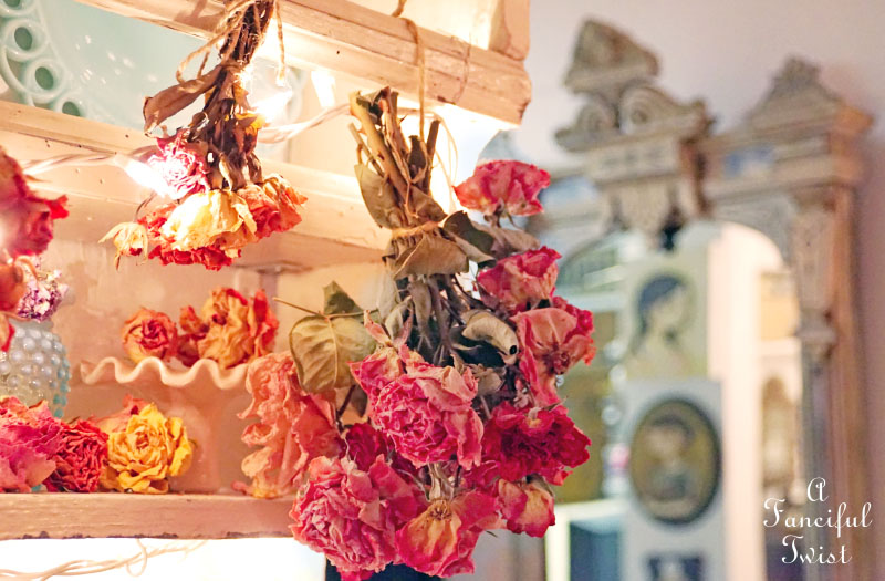 Fairy lights 7 Fairy lights 7