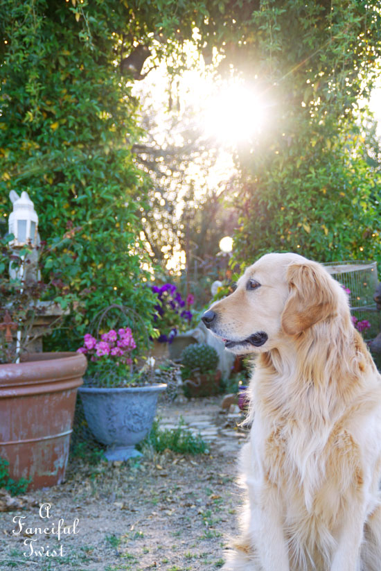 Spring magic 14 Spring magic 14