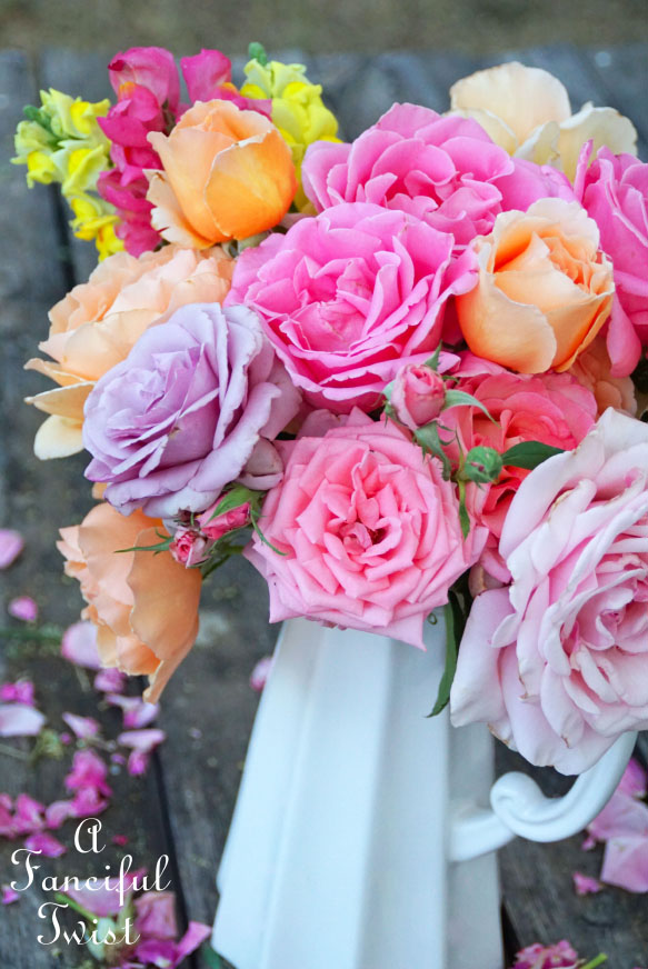 Colorful 10 Colorful 10