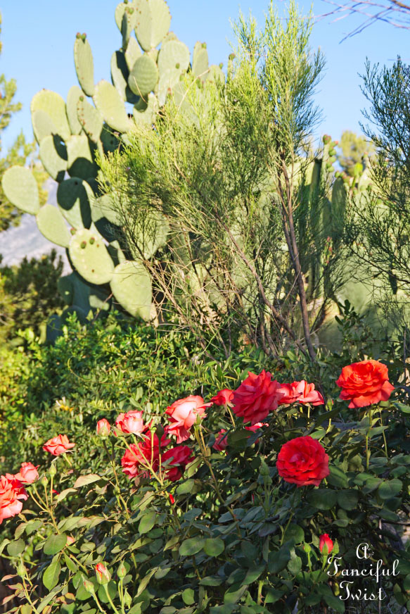 Colorful 21 Colorful 21