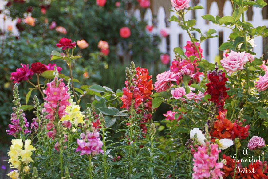 Colorful 20 Colorful 20