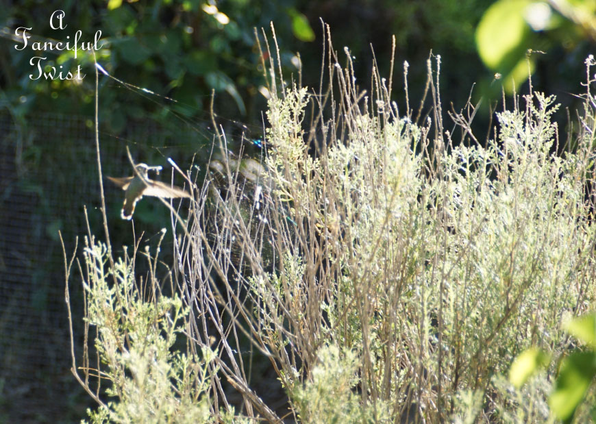 Colorful 22 Colorful 22