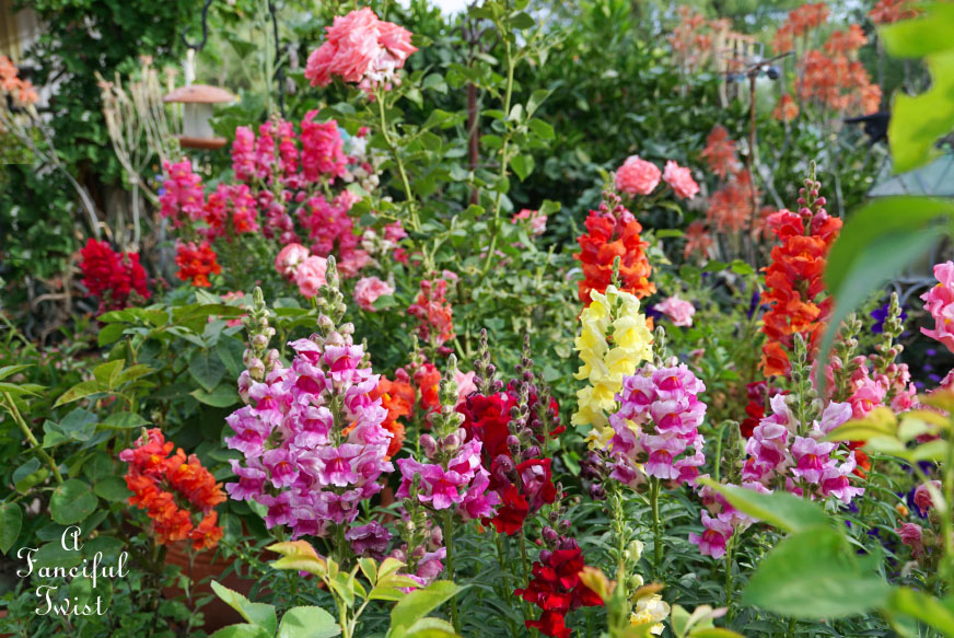 Colorful 25 Colorful 25