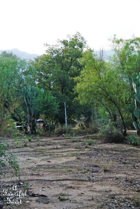 Moon and monsoon 19 Moon and monsoon 19