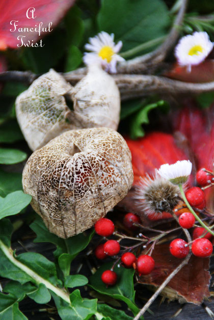 Winter garden 3 Winter garden 3