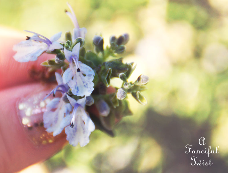 Spring things 8 Spring things 8