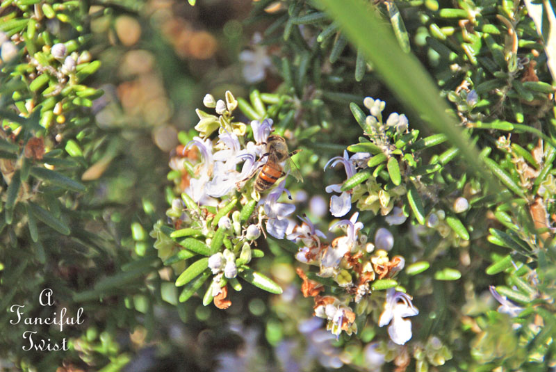 Spring things 9 Spring things 9