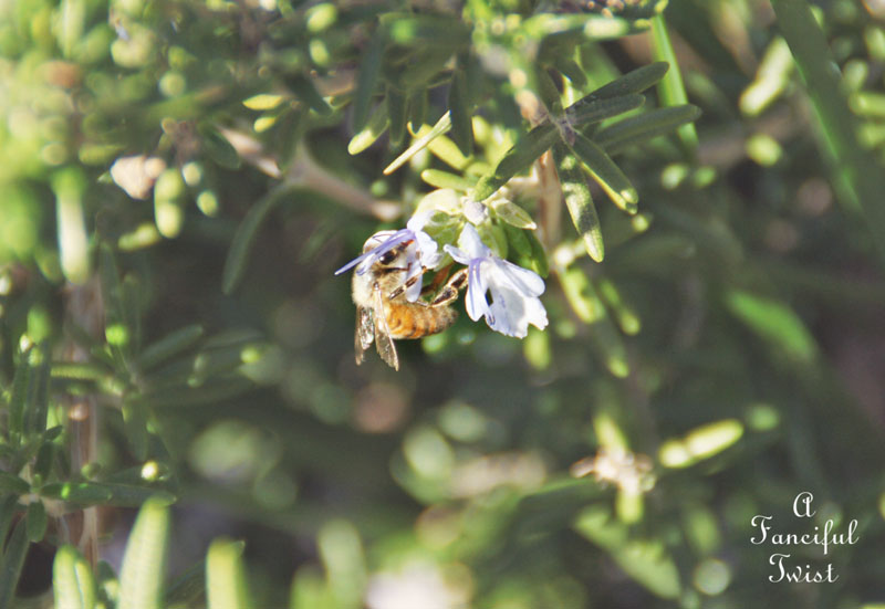 Spring things 11 Spring things 11