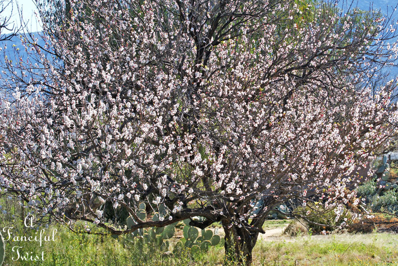 Sweet nature 9 Sweet nature 9
