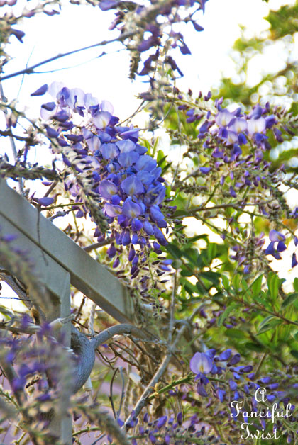 Spring time 15 Spring time 15