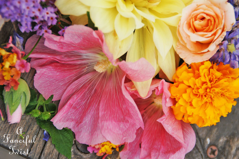 Summer flowers 6 Summer flowers 6