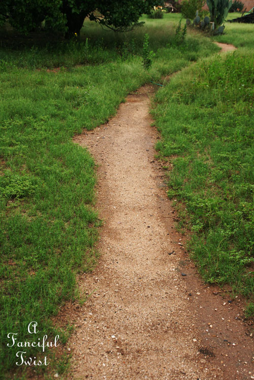 Rain flower 4 Rain flower 4