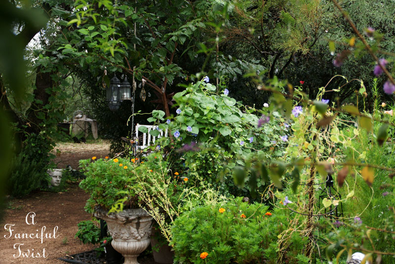 Rain flower 8 Rain flower 8