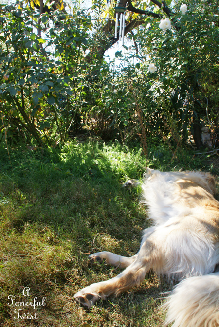 Ballerinas and days 5 Ballerinas and days 5