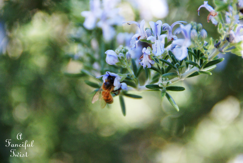 Ballerinas and days 2 Ballerinas and days 2