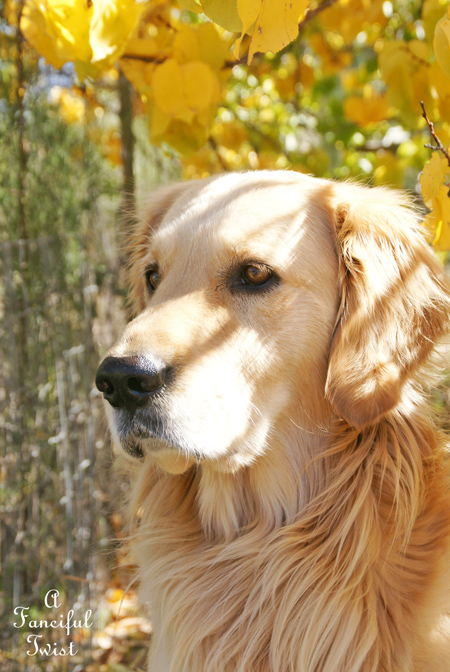 Ballerinas and days 10 Ballerinas and days 10