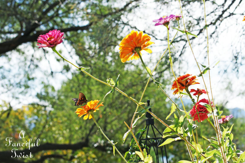 Welcome november 5 Welcome november 5