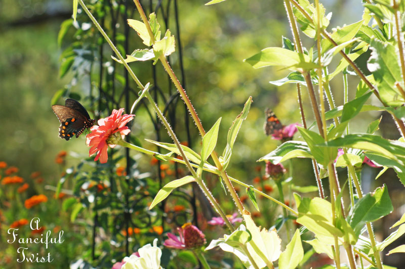 Welcome november 6 Welcome november 6