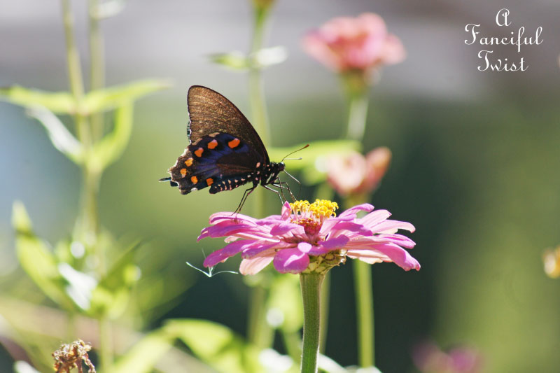 Welcome november 8 Welcome november 8