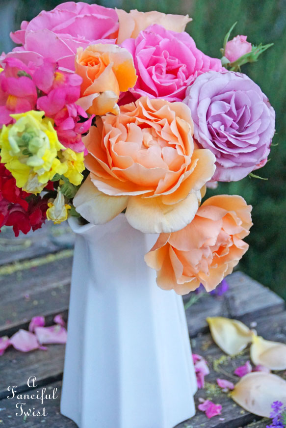 Colorful 9 Colorful 9