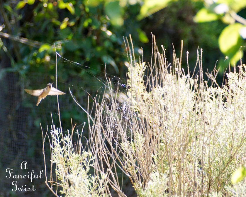 Colorful 23 Colorful 23