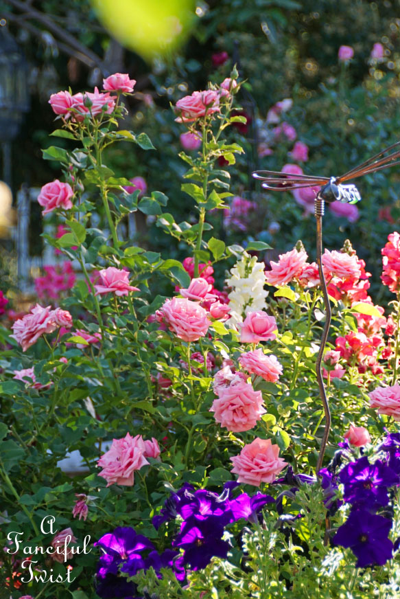 Colorful 14 Colorful 14