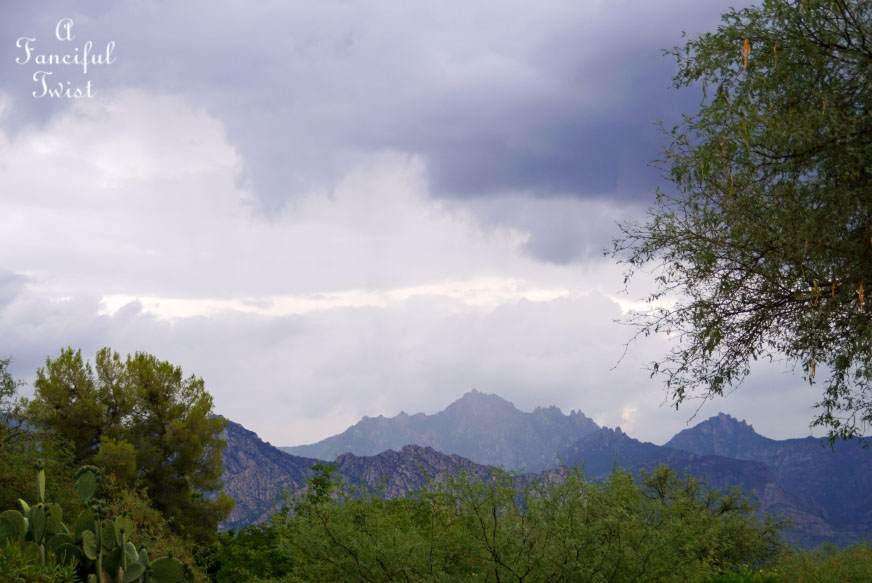 Moon and monsoon 10 Moon and monsoon 10