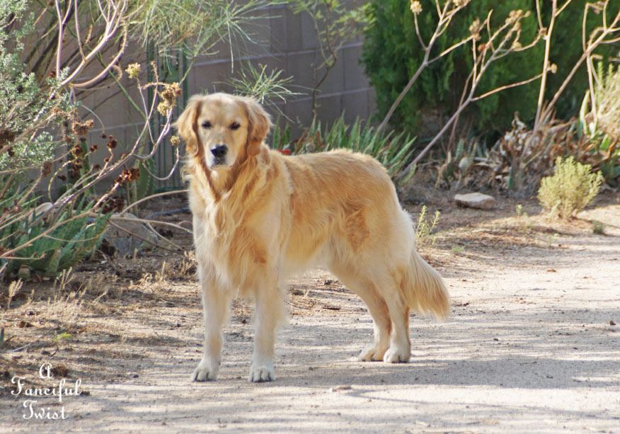 Moon and monsoon 8 Moon and monsoon 8