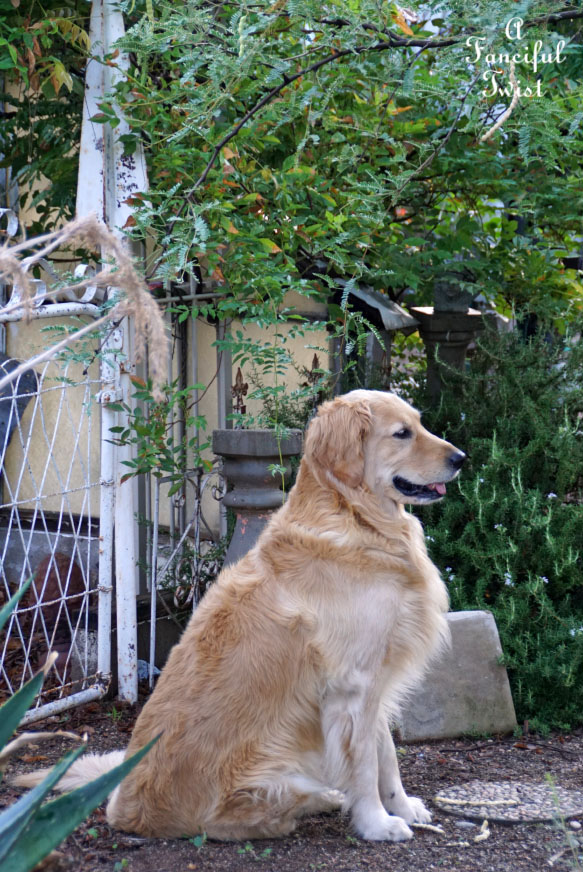 Moon and monsoon 18 Moon and monsoon 18