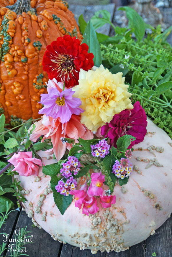 October 7a October 7a