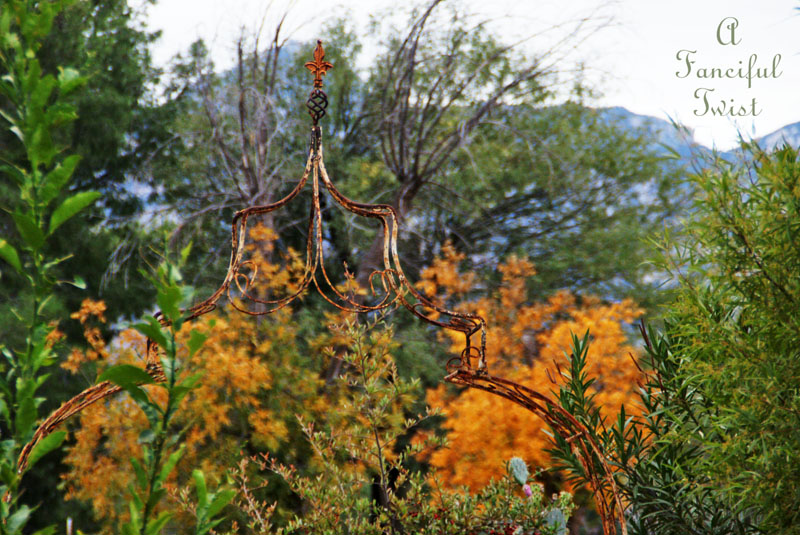 Fall garden 2 Fall garden 2