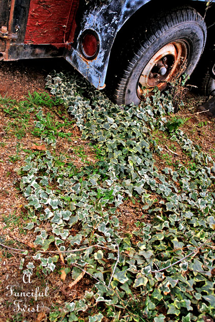 Winter garden 18 Winter garden 18