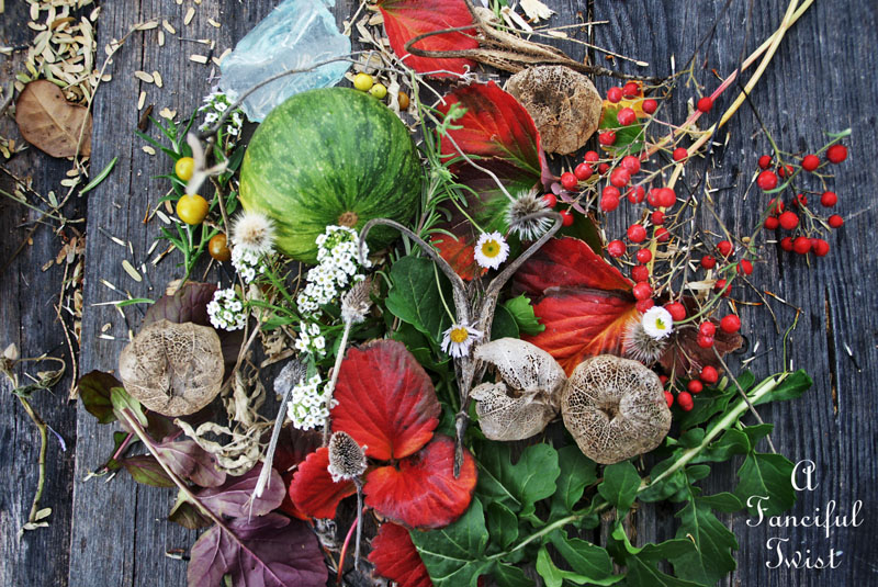 Winter garden 1 Winter garden 1