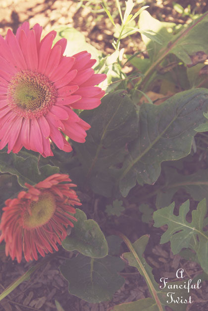 Spring things 18 Spring things 18