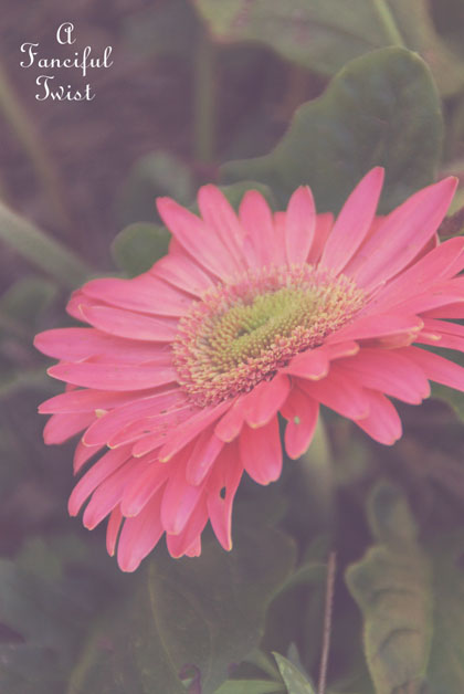 Spring things 20 Spring things 20