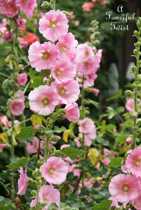 Paper flowers 18 Paper flowers 18